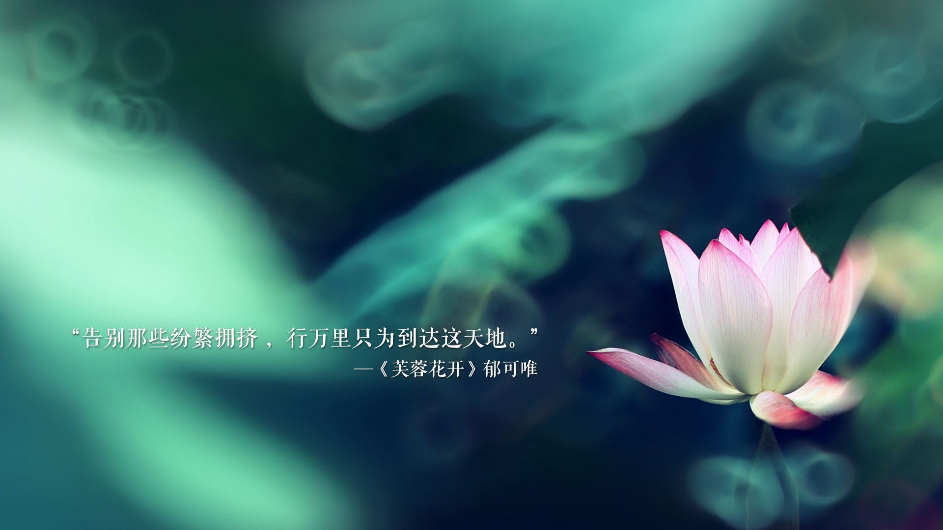 逆境世界杯：跨境球队的精彩“逆袭”故事，跨越逆境