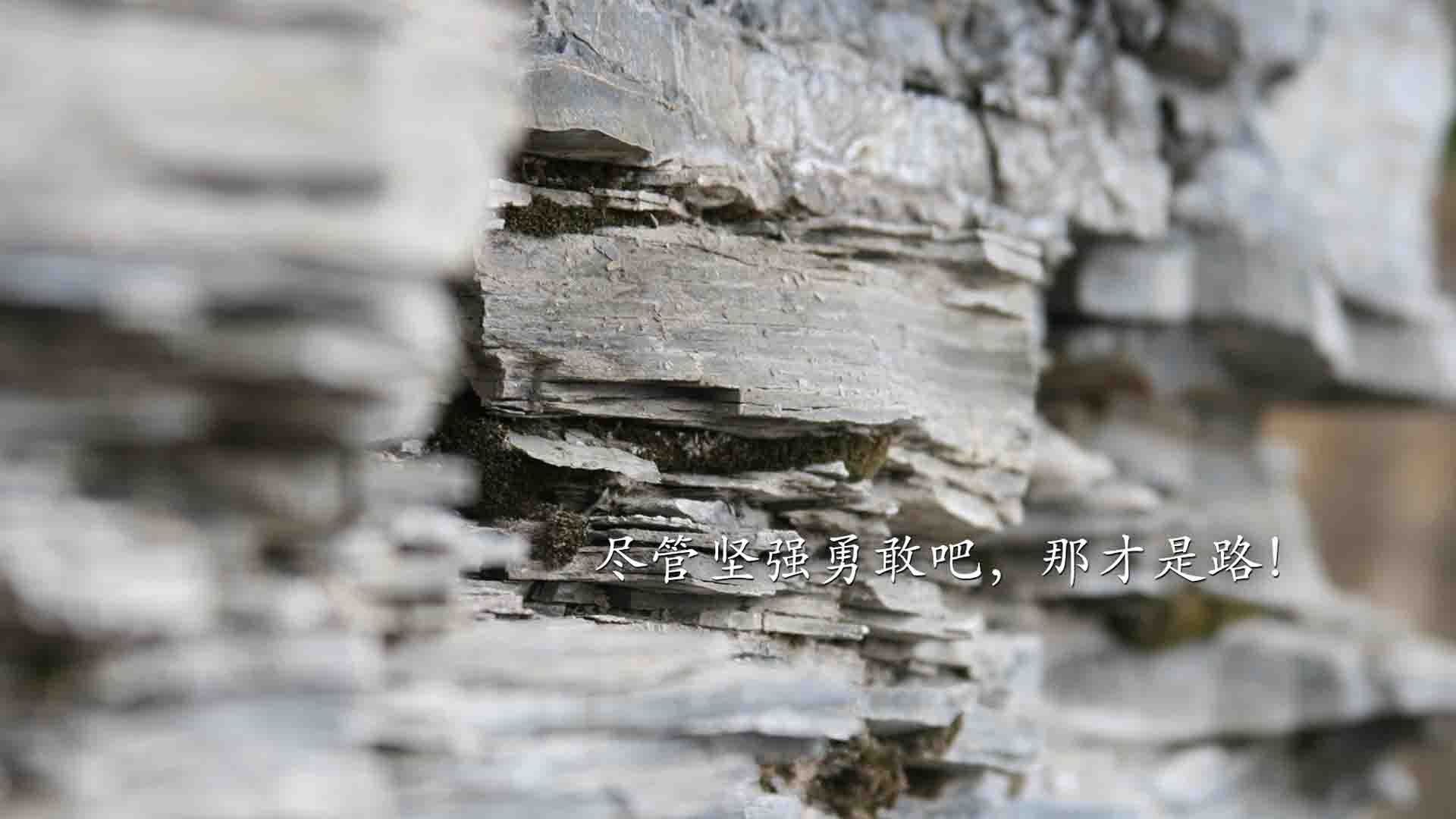 兰斯主场再胜南特，豪取赛季一波连胜，兰斯足球