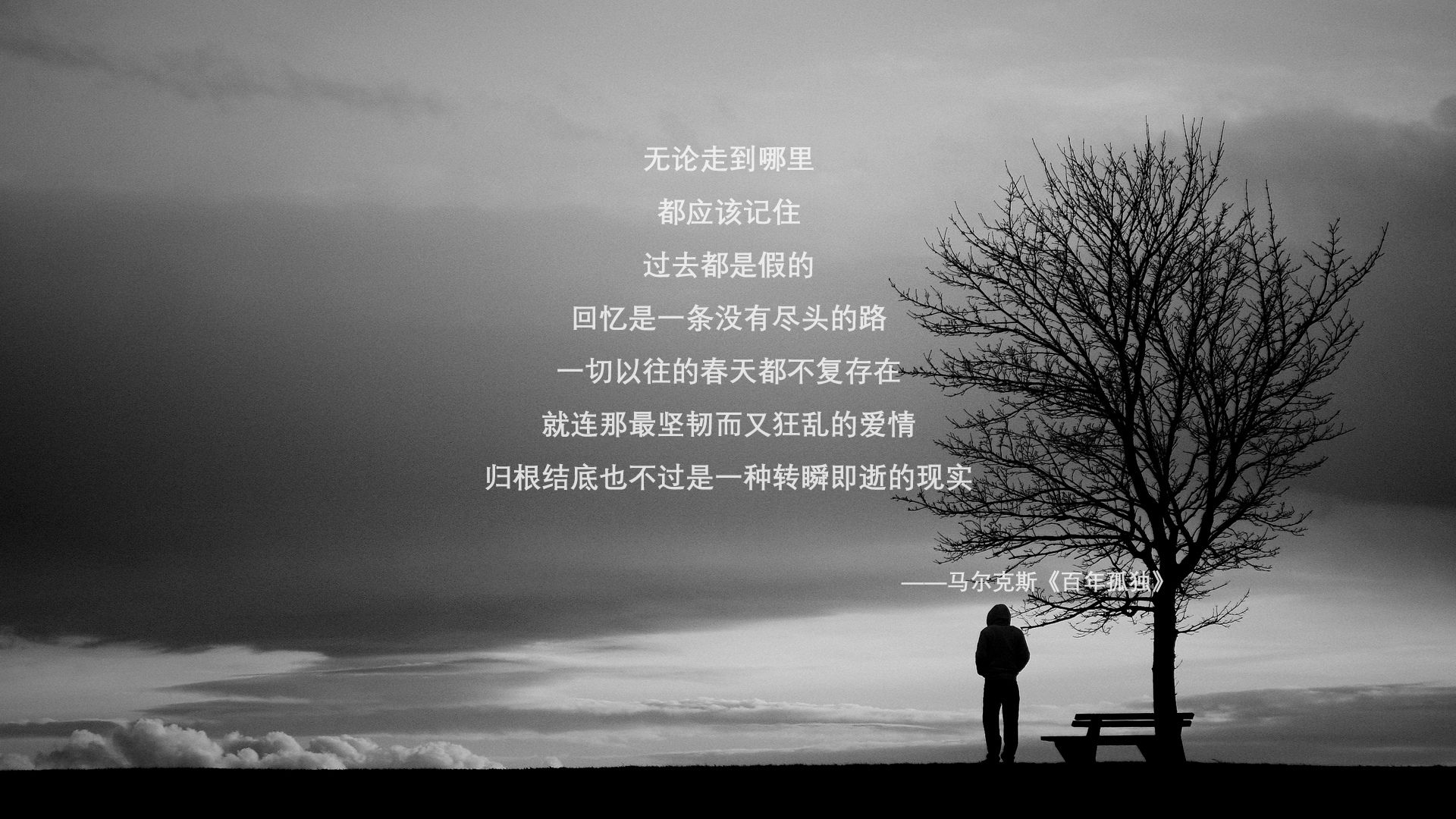 劲敌对碰！澳大利亚女足亚洲杯赛场上演精彩对决，女足亚洲区预选赛澳大利亚
