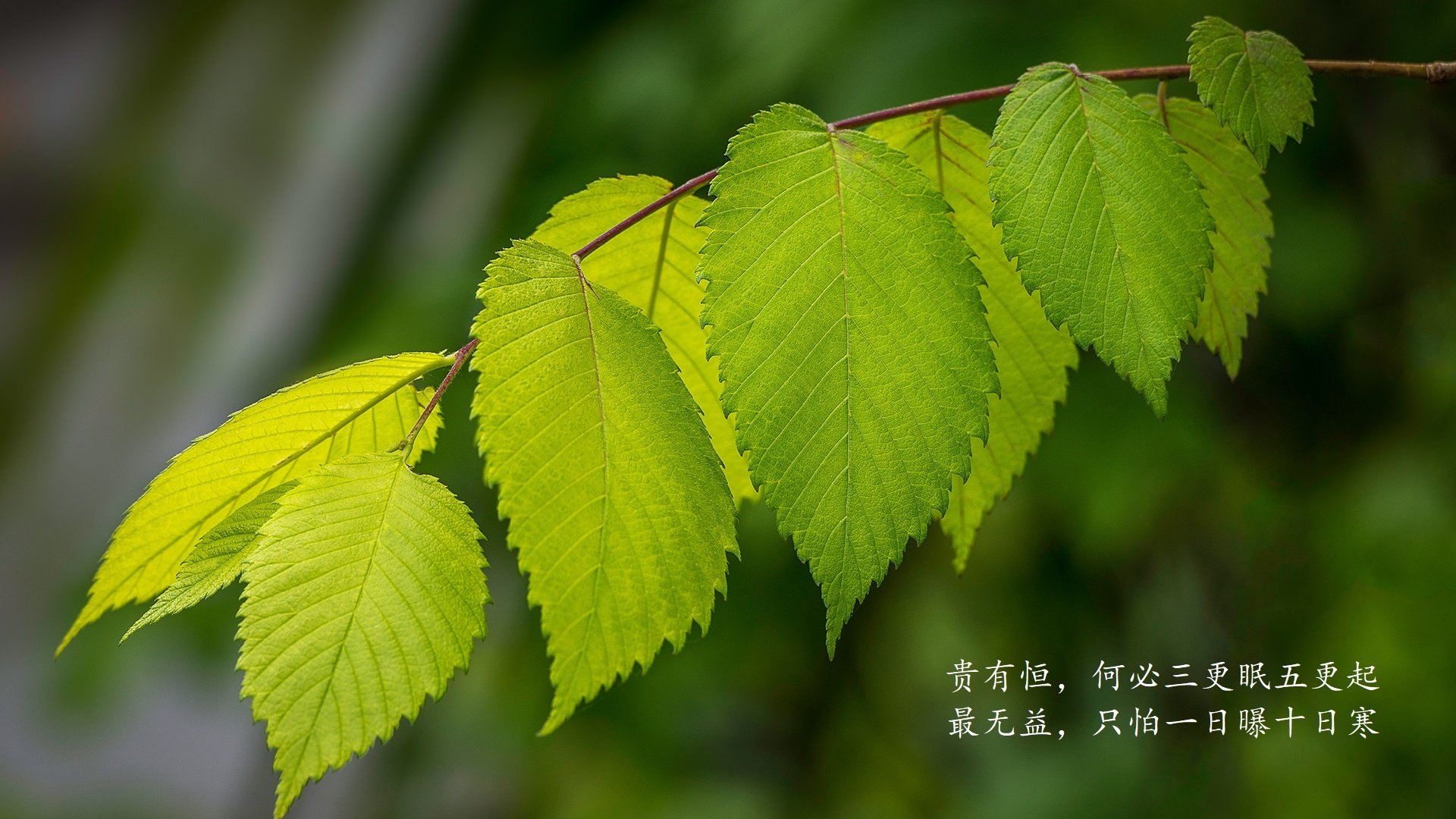 塞内加尔队中场贝尔特拉在巴黎奥运会上展现出强大的进攻组织能力