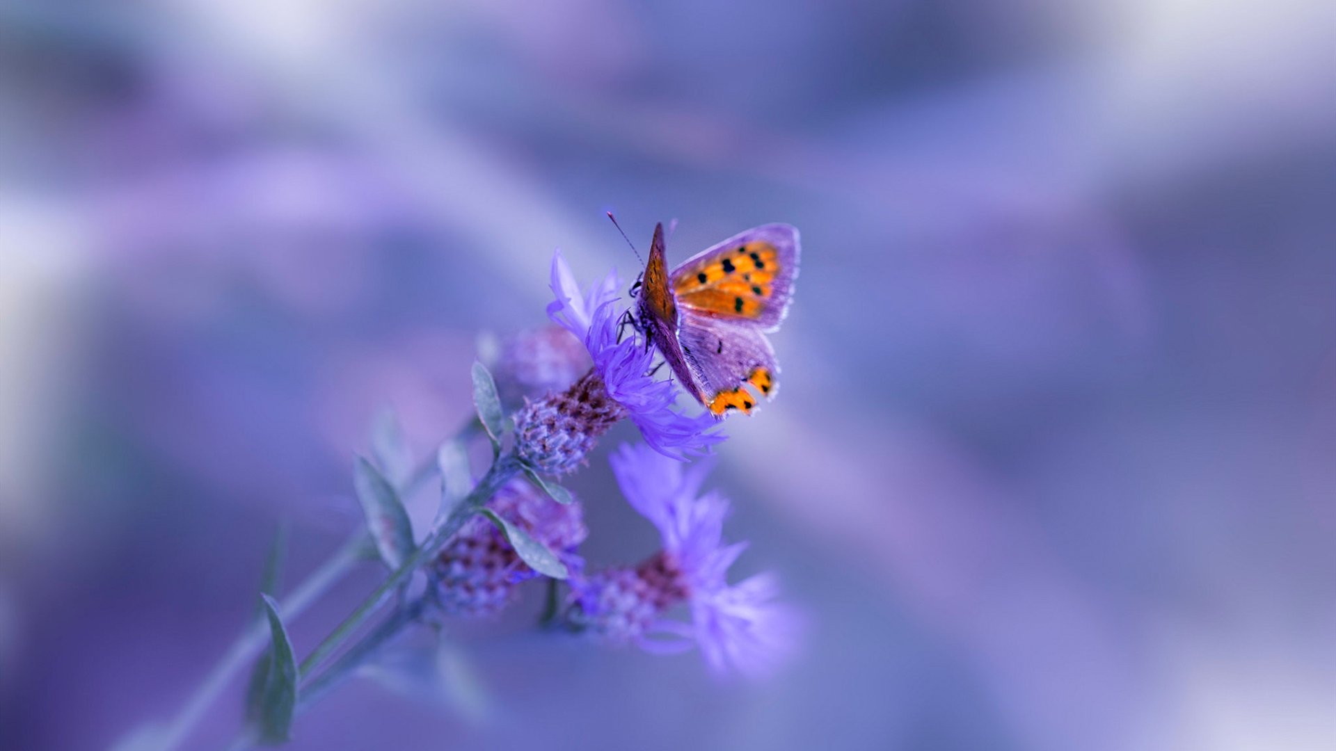 数据是否正在替代现场球探判断力