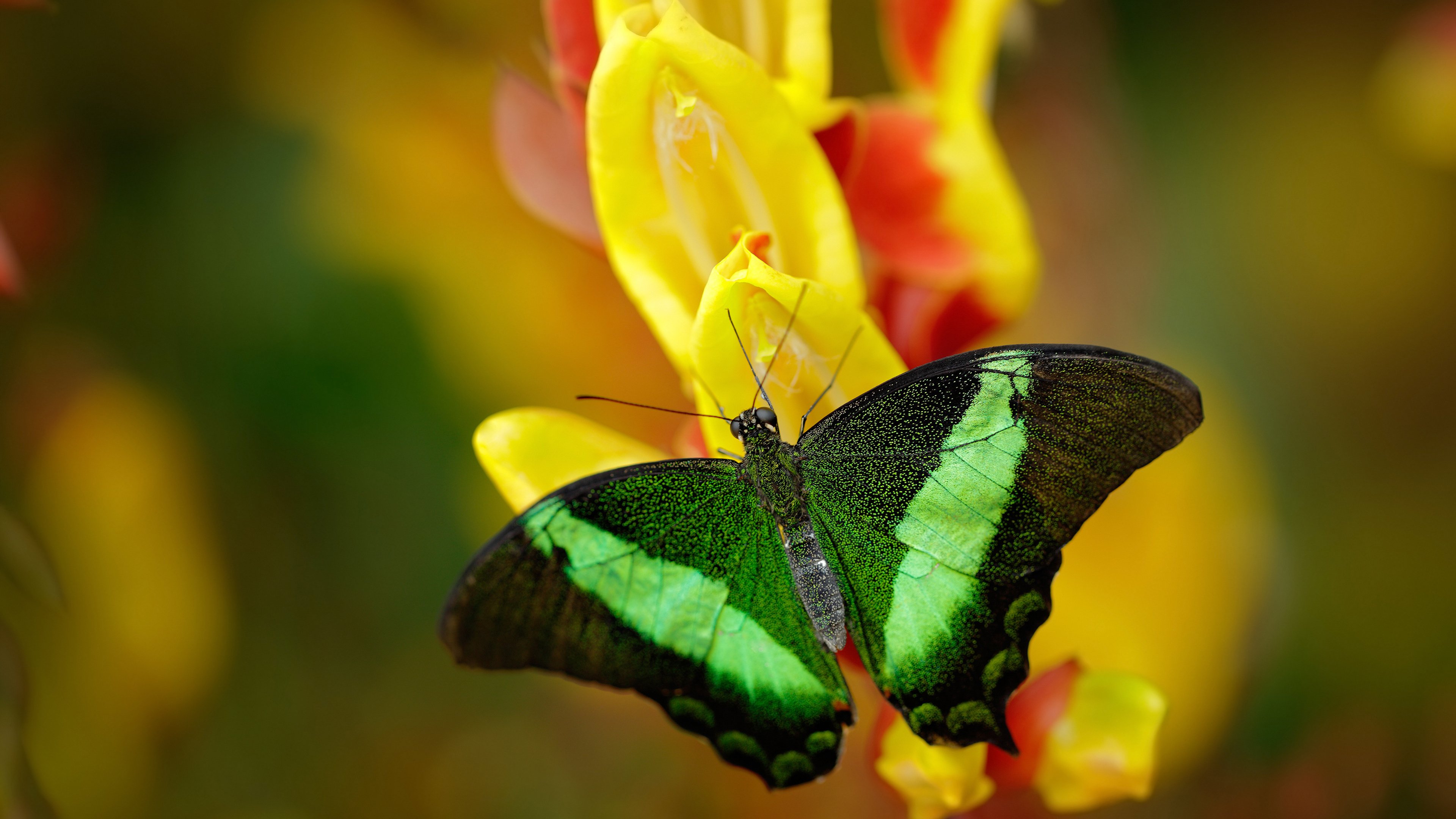 爱游戏娱乐网址-率先取得优势，谁将掌握胜利的主动权？，率先和领先
