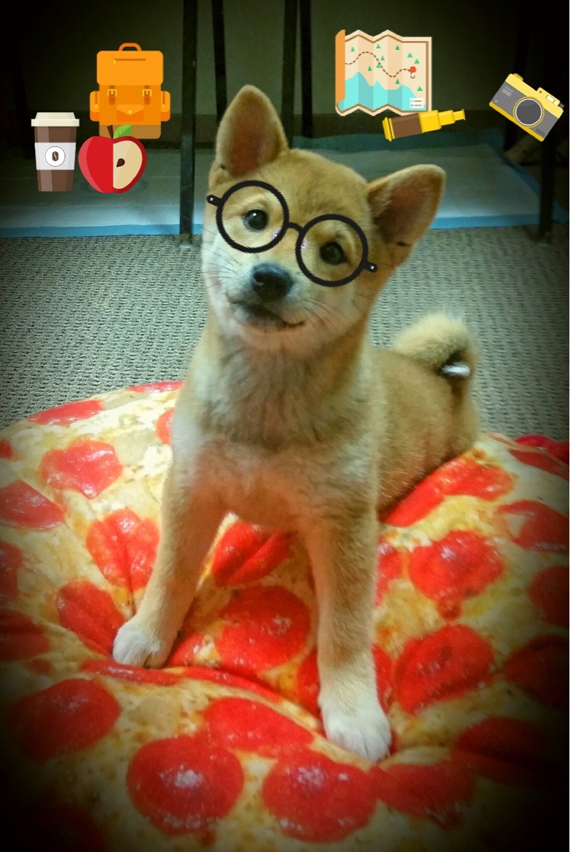 英格兰不敌克罗地亚，遭遇三连败，英格兰与克罗地亚比赛结果