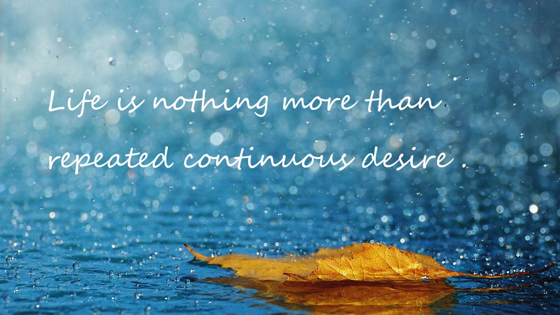 AYX体育-英格兰替补奇兵绝杀，全场沸腾，英格兰队