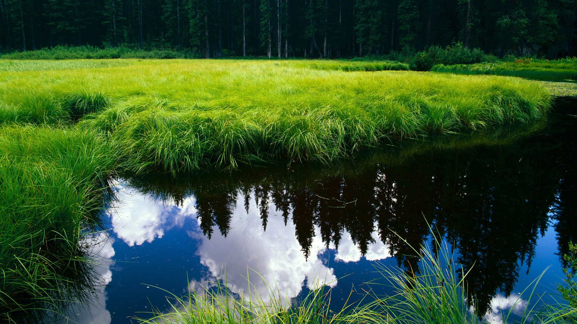 国足传球中断点与失控局面对应关系,足球比赛中断串子怎么算