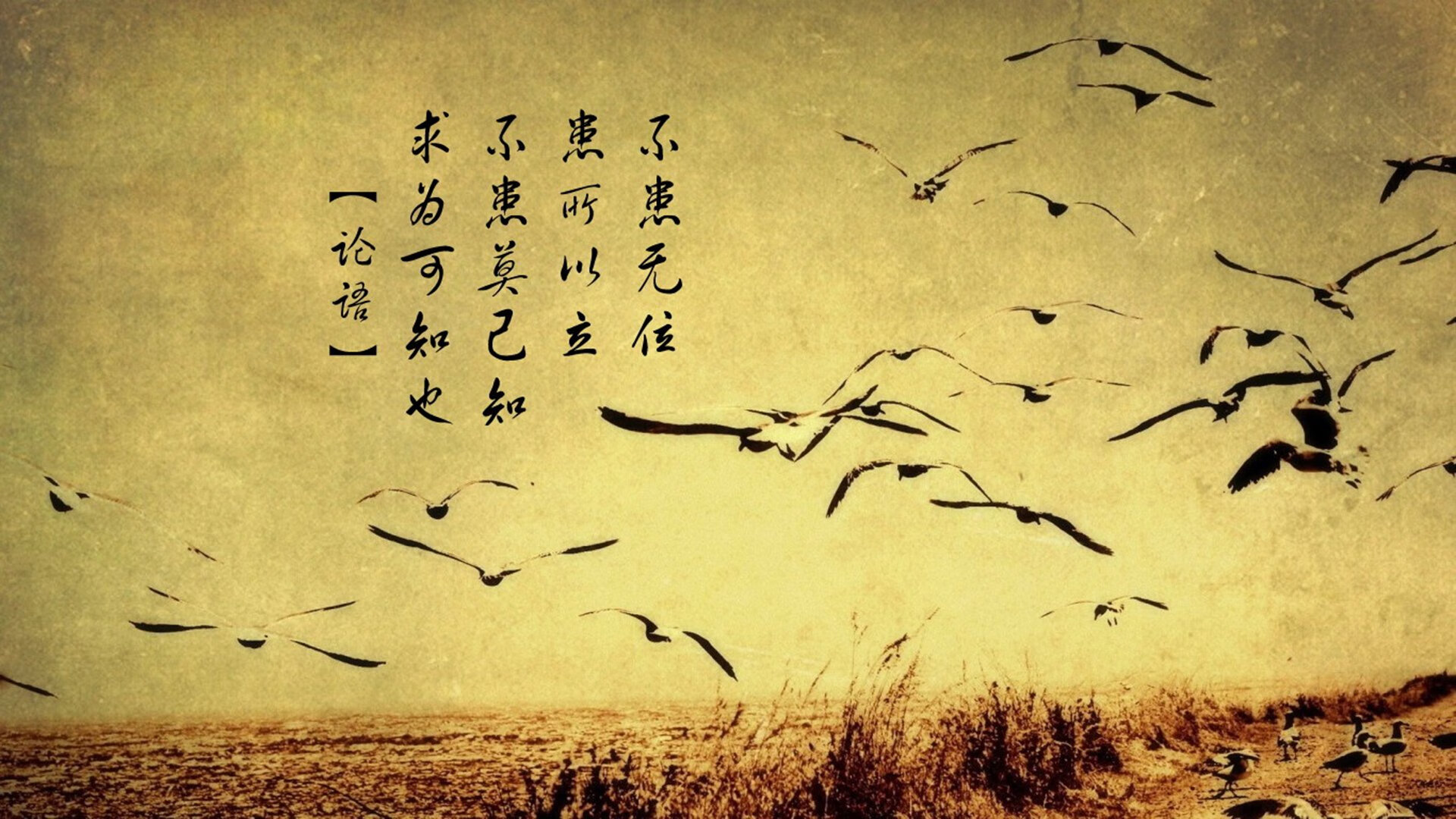 爱游戏 电竞-世界杯中国青年队爆冷 球迷反应两极分化，世界杯中国队形势