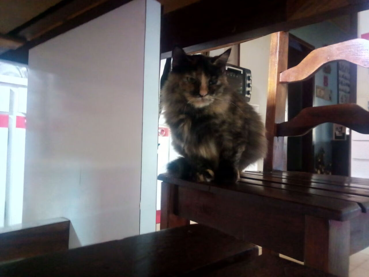 AYX GAMING-乌干达男篮在非洲预赛中奋勇争先，迈向国际舞台，乌干达全国篮球