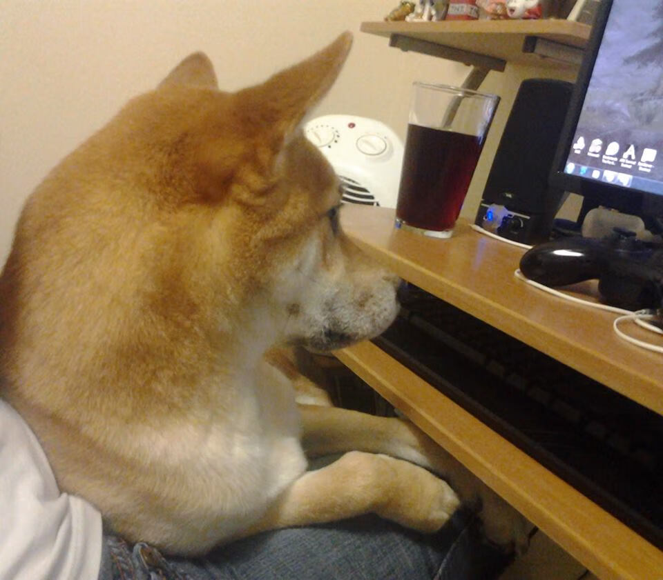 AYX SPORTS-地方篮球俱乐部探索会员制运营模式增强社区联动机制，篮球俱乐部活动方案