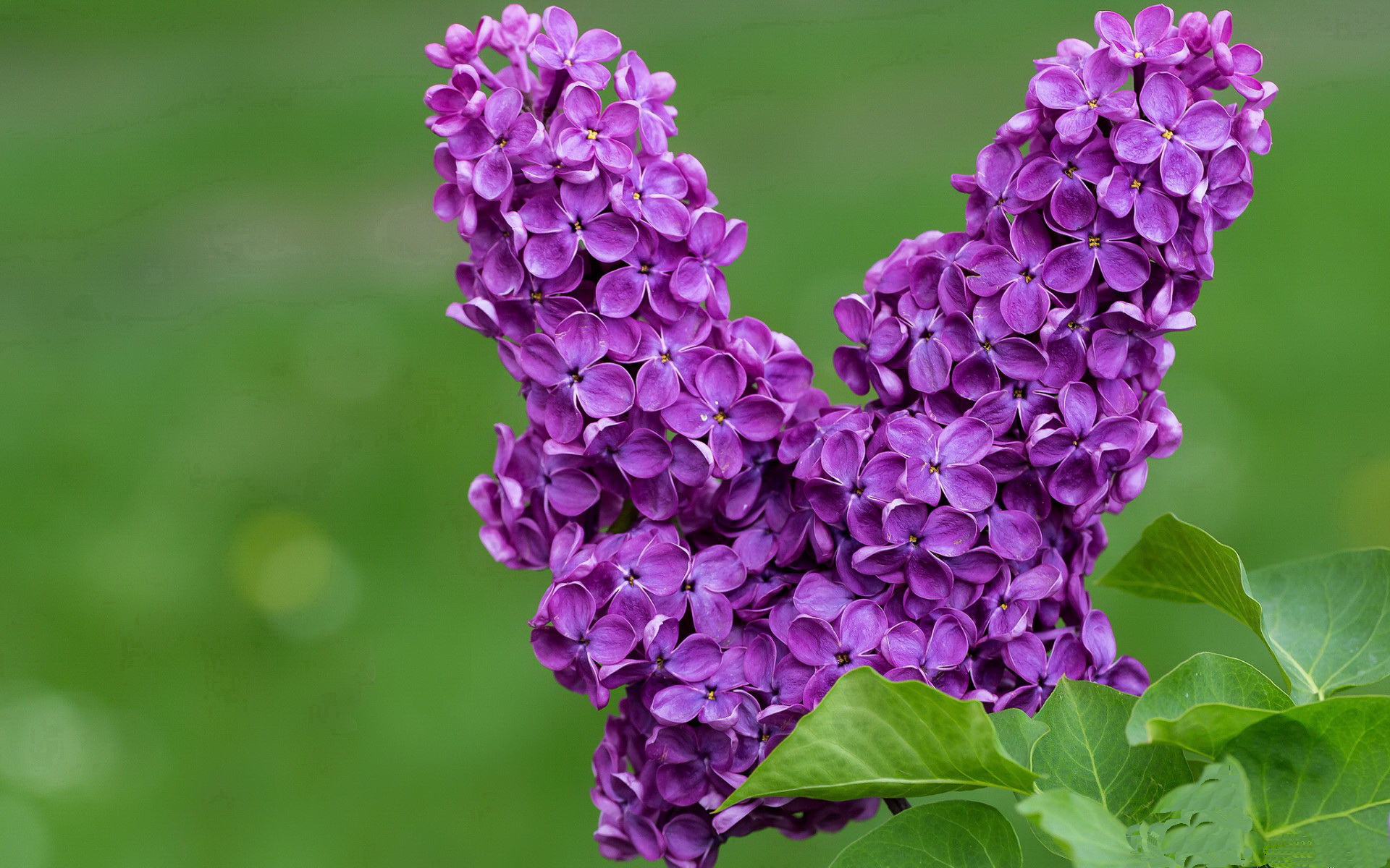 爱游戏体育app-塞浦路斯女篮在欧洲锦标赛中表现优异，跻身强队行列，塞浦路斯欧盟成员国吗