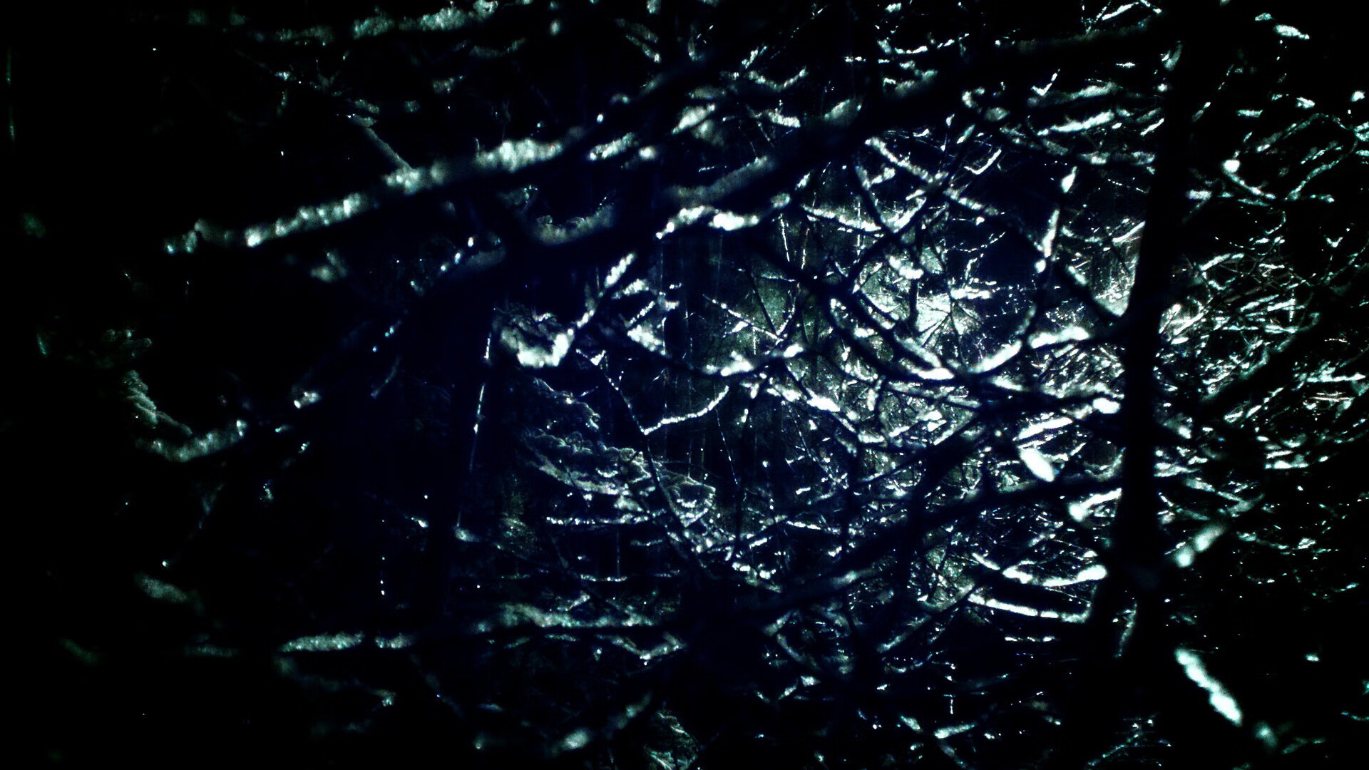 爱游戏体育-王宗源决赛发挥稳定赢得掌声，王宗源领奖